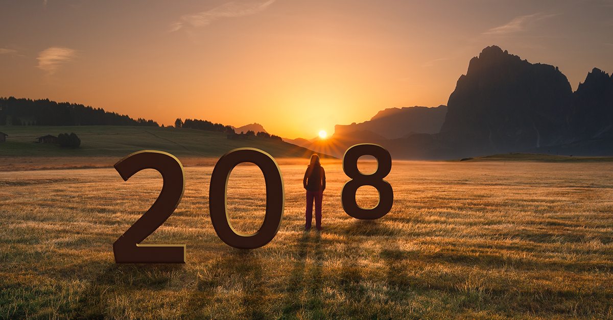 Seeds of a Debt Crisis: 2017 Debt Statistics and Predictions