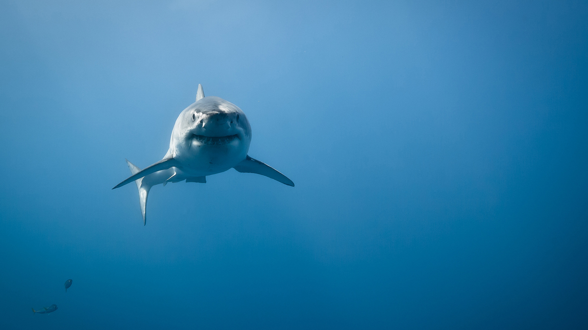 7 predatory lending signs